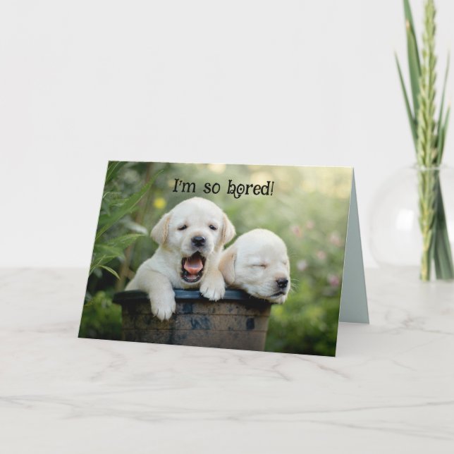 PUPPY BOREDOM TÄNKANDE AV DIG-KORT KORT (Framsida)