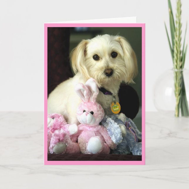 Puppy Bunny Påsk-kort Helgkort (Framsida)