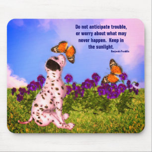 Puppy Butterflies Attitude-citat Musmatta