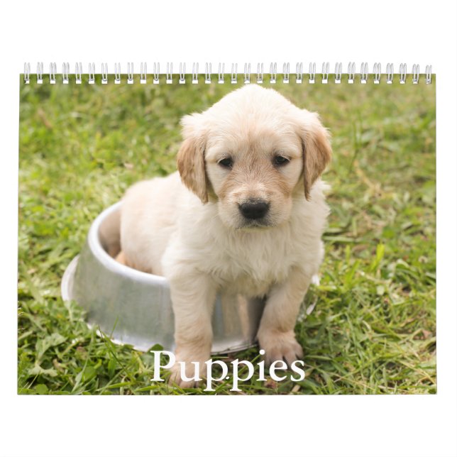 Puppy Calendar Kalender (Omslag)