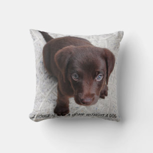 Puppy-citat Kudde