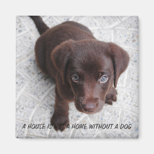 Puppy-citat Magnet