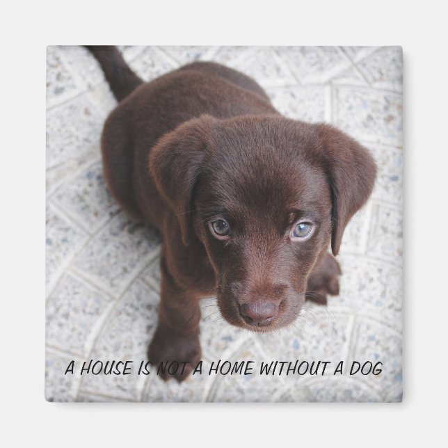 Puppy-citat Magnet (Framsidan)