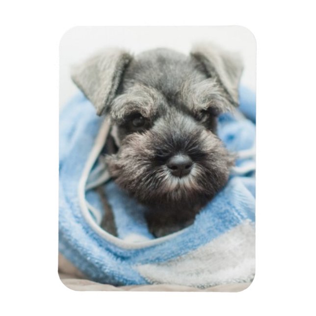 Puppy efter ed magnet (Vertikal)