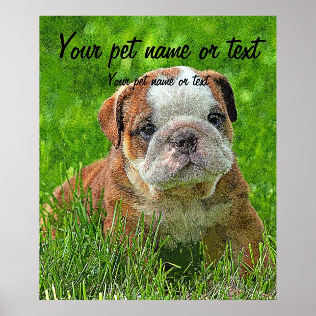 Puppy English Bulldog i Meadow Poster (Framsidan)