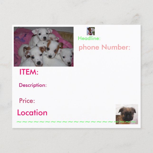 Puppy Flyers (Framsidan)