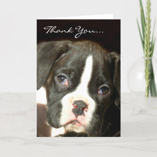 Puppy för Brindle boxer Tack Kort