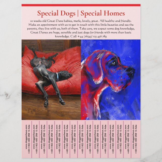 puppy for sale flyer templates (Framsidan)