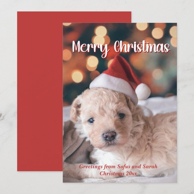 Puppy-foto God jul Julkort (Fram/baksida)