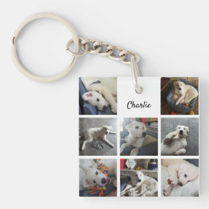 Puppy Fotokollage Cute-Hund eller Pet