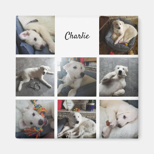 Puppy Fotokollage Cute Pet Magnet