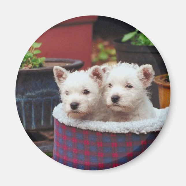 Puppy Friends Magnet (Framsidan)