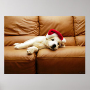 Puppy har en julhatt och ljuger på soffa poster