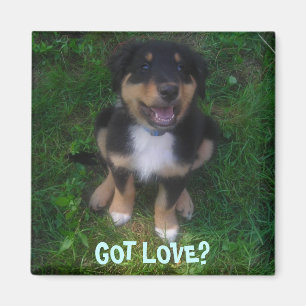 PUPPY, HAR KÄRLEK? MAGNET