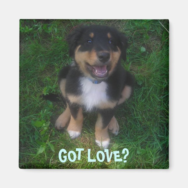 PUPPY, HAR KÄRLEK? MAGNET (Framsidan)