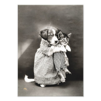 Puppy Holding Small Kitten Fototryck