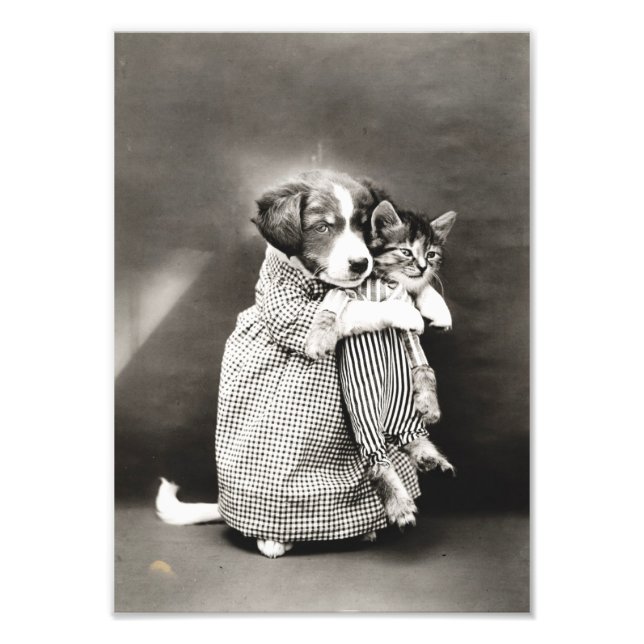 Puppy Holding Small Kitten Fototryck (Framsidan)