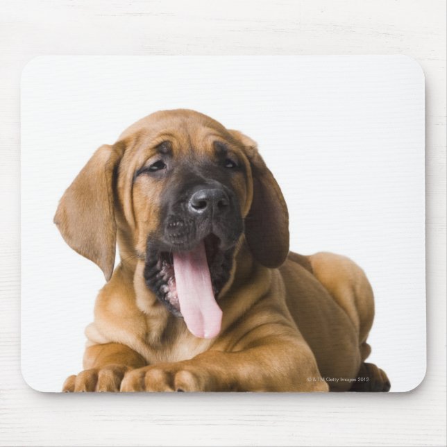 Puppy Hund 2 Musmatta (Framsidan)