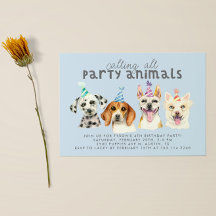 Puppy Hund Animals Birthday