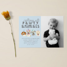 Puppy Hund Animals Birthday Photo