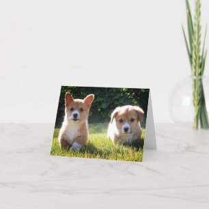 Puppy-Hund-anteckningskort (Pembroke Welsh) Kort