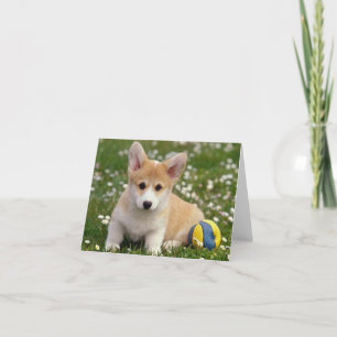 Puppy-Hund-anteckningskort (Pembroke Welsh) Tack Kort