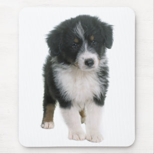 Puppy Hund - Aussie Kärlek Musmatta