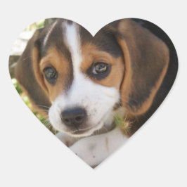Puppy Hund Beagle Hjärtformat Klistermärke