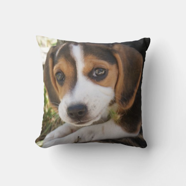 Puppy Hund Beagle Kudde (Framsida)