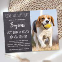 Puppy Hund Birthday Kom Stanna Party