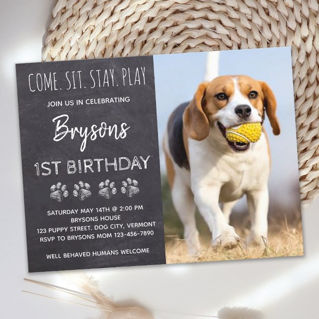 Puppy Hund Birthday Kom Stanna Party Vykort (Skapare uppladdad)