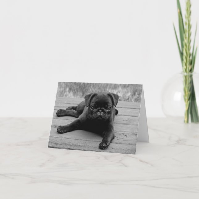 Puppy Hund Black & White Blank Note Card Kort (Framsida)