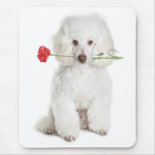 Puppy-Hund-Flower Mousepad, miniatyr, vit Pudel Musmatta