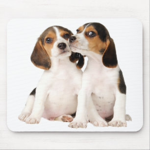 Puppy-Hund för beagle-valpar Musmatta