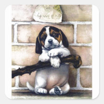 Puppy-hund för försäljning, illustration av söt vi