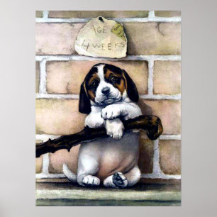 Puppy-hund för försäljning, illustration av söt vi poster