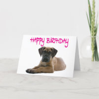 Puppy-Hund för Grattis på födelsedagen Great dane 