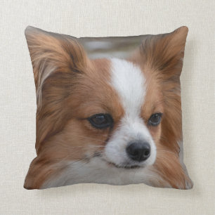 Puppy-Hund för vänliga papillon Kudde