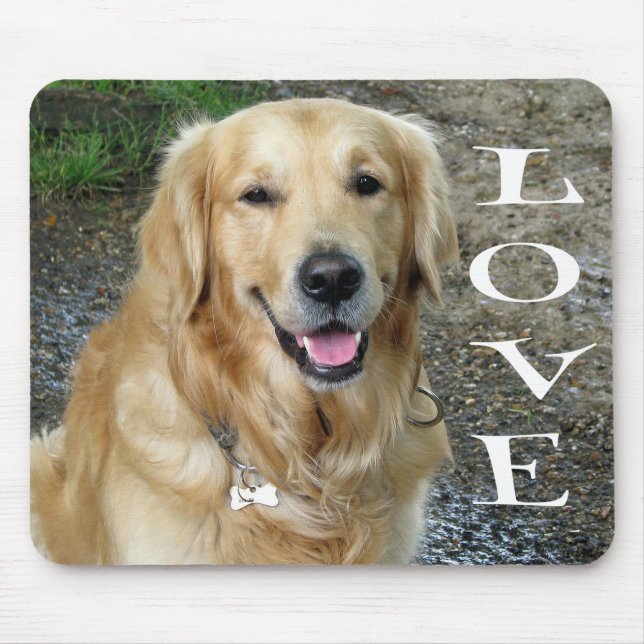 Puppy Hund (Golden Retriever) Musmatta (Framsidan)