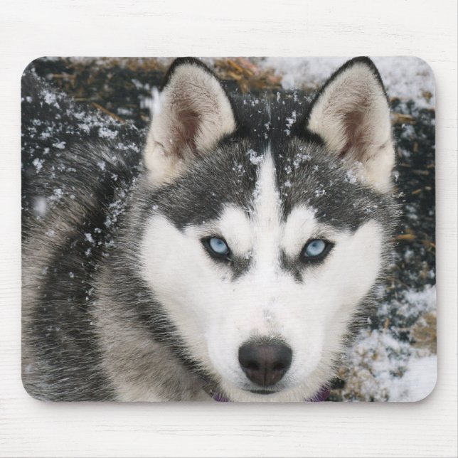 Puppy Hund i Siberian husky i Snö Mousepad Musmatta (Framsidan)