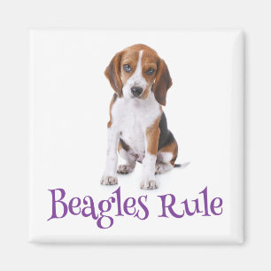 Puppy-Hund, kanter Magnet