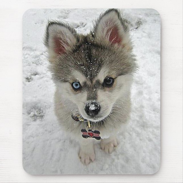 Puppy-Hund Kärlek i Siberian husky i Snö-Mousepad Musmatta (Framsidan)