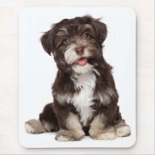 Puppy Hund Mousepad, Kärlek Musmatta