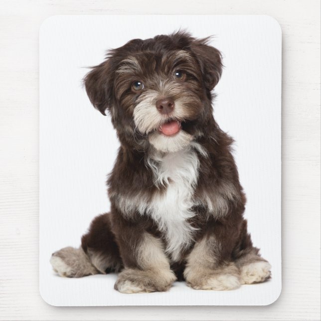 Puppy Hund Mousepad, Kärlek Musmatta (Framsidan)