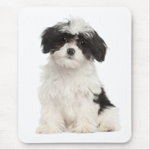 Puppy Hund Mousepad, Kärlek Musmatta