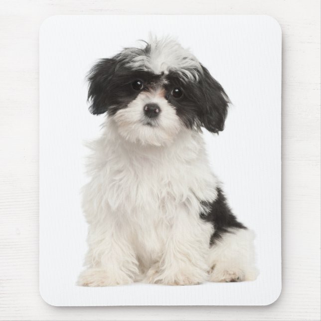 Puppy Hund Mousepad, Kärlek Musmatta (Framsidan)