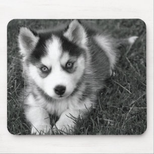 Puppy Hund Mousepad Kärlek Siberian husky Musmatta