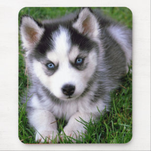 Puppy Hund Mousepad Kärlek Siberian husky Musmatta
