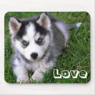 Puppy Hund Mousepad Kärlek Siberian husky Musmatta
