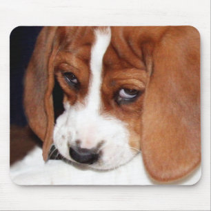 Puppy Hund Musmatta
